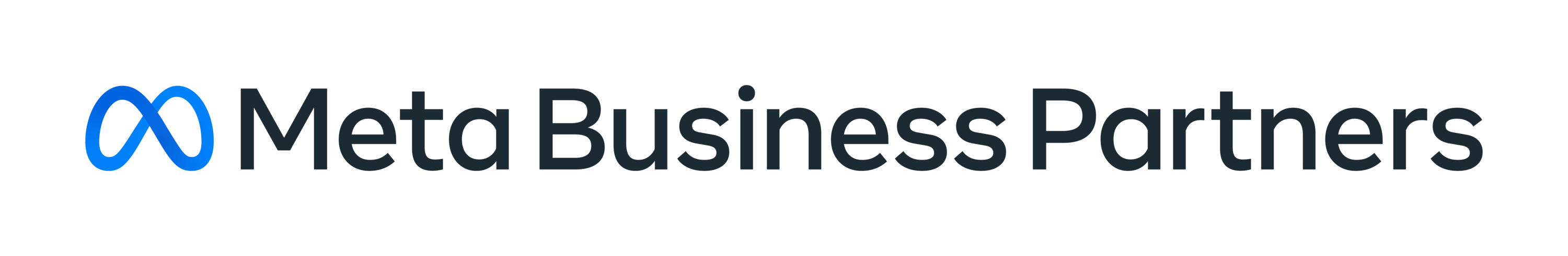 Meta Business Partner